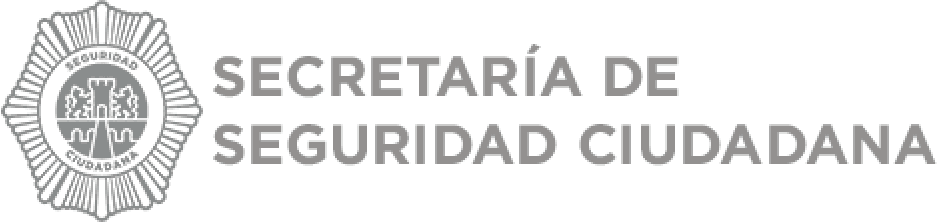 secretaria de seguridad