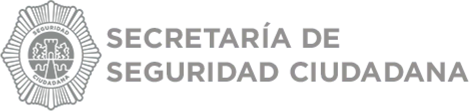 secretaria de seguridad